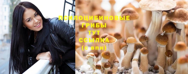 тгк Балабаново
