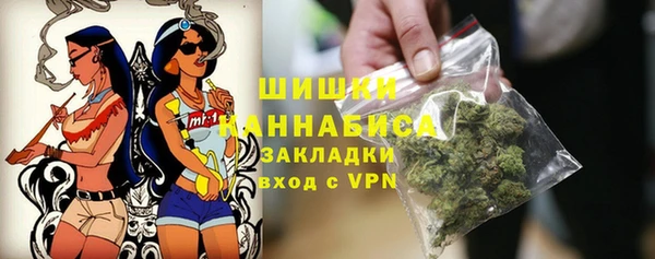 прущие грибы Навашино